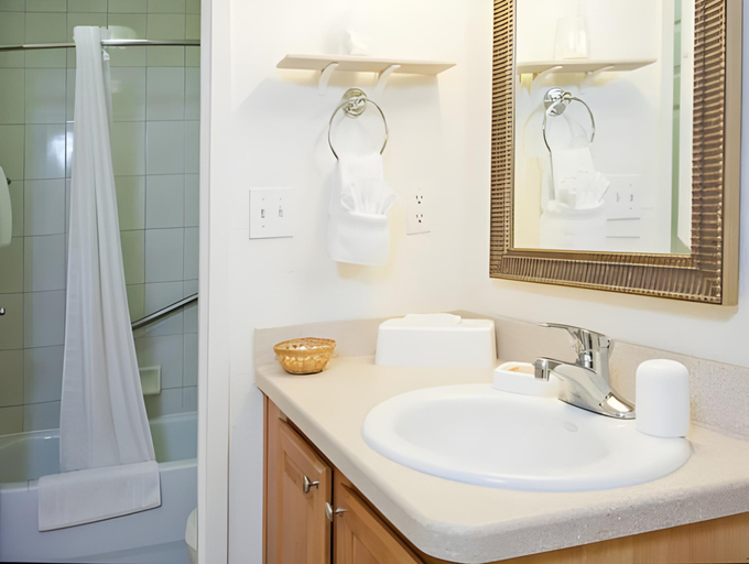 Bathroom 3, Magic Tree Resort, Osceola