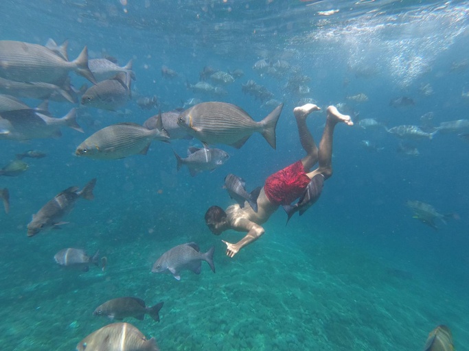 Others 5, Erens Guest House, Raja Ampat