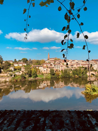 Others 5, Chambre Jungle vue sur la campagne a 15min d'Albi, Tarn