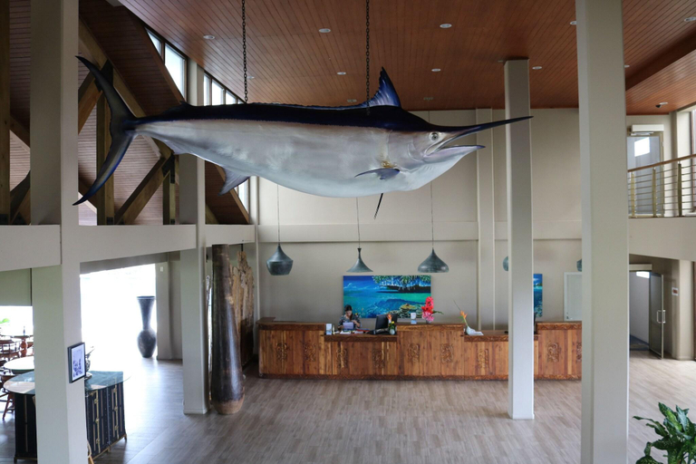 Public Area 3, Cove Resort Palau