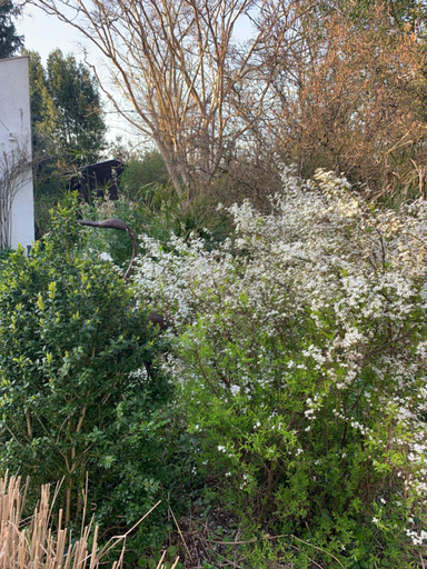 Others 5, Villa 37, Gironde