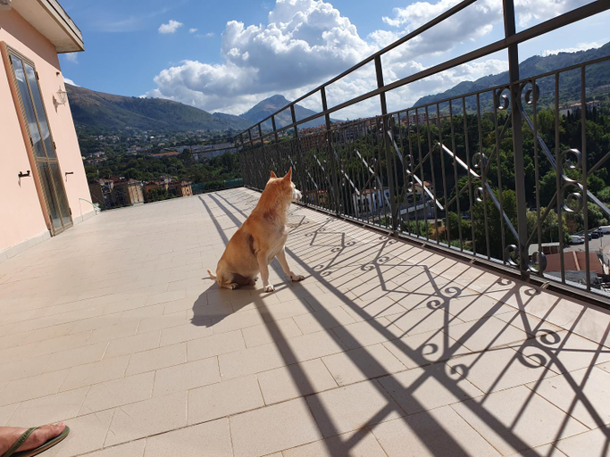 Others 4, B&B IRNUM, Salerno