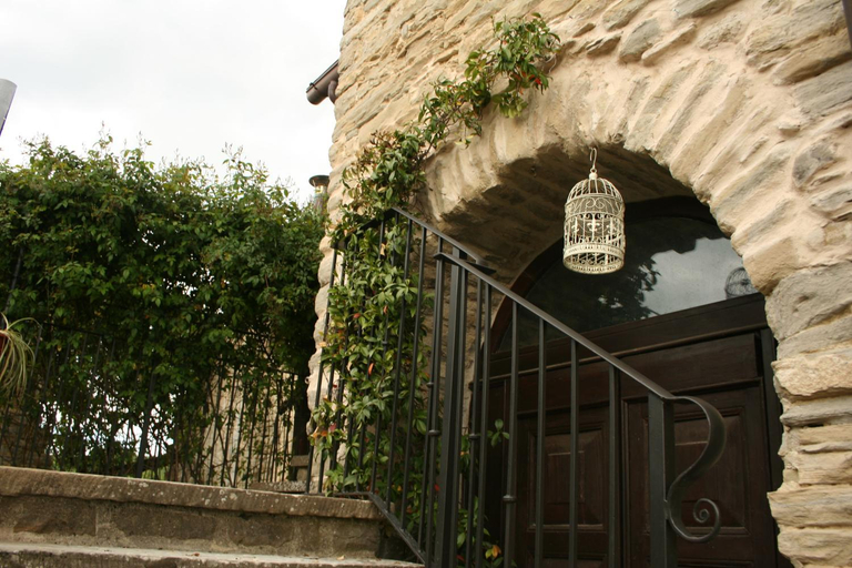 Others 4, Antiqua, Arezzo