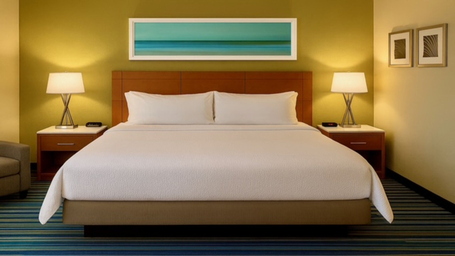 Holiday Inn Express - Clermont Room Type - 1 King Standard Extra Floor Space