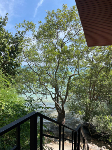 Others 2, Social Quarters Blanco - Youth Hostel 18 to 35 Only, Mueang Krabi