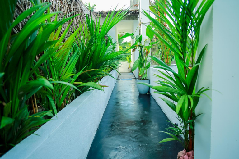 Sport & Beauty, Ruwan Jungle Homestay, Weligama