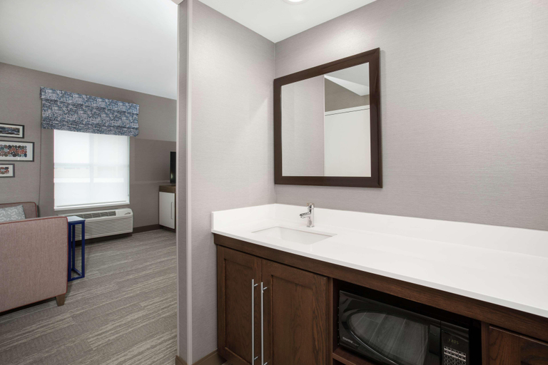 Bathroom 4, Hampton Inn And Suites By Hilton Logan, Cache
