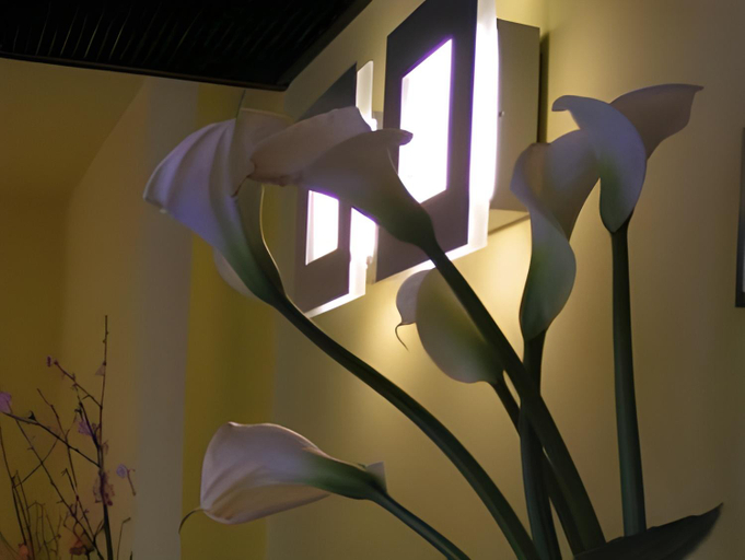 Others 3, Albergo Verdi, Padua