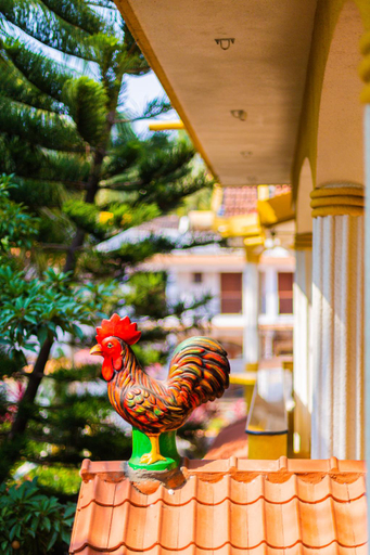 Others 5, PRIMAVERA HOLIDAY HOMES.GOA, North Goa