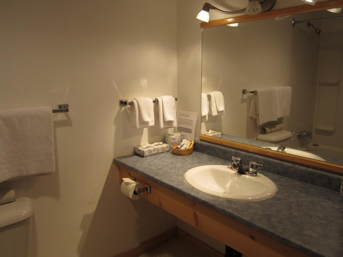 Bathroom 5, Canadas Best Value Inn River View Hotel, Yukon