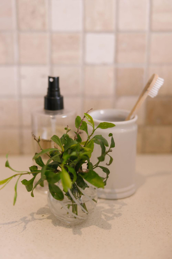 Bathroom 5, Under Oaks, Cape Winelands