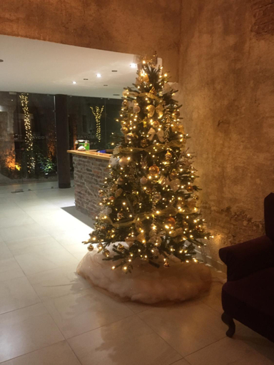 Public Area 2, HOTEL BOUTIQUE JAYCO, San José Iturbide