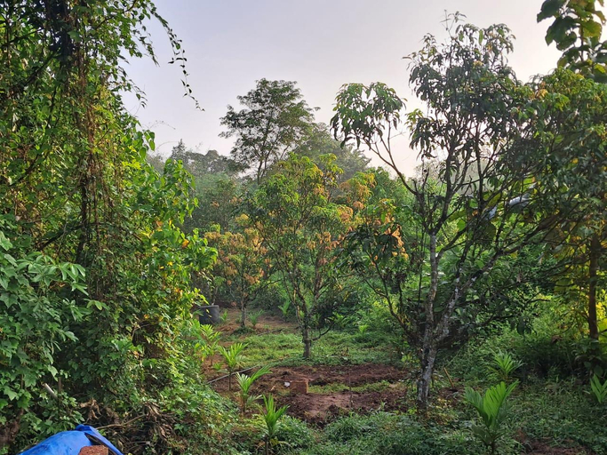 Others 5, Studio Arambol Green Haven R-7 by Mukund Sadan , North Goa