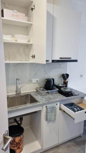 Kitchen 4, Tal's Apartment, Batumi