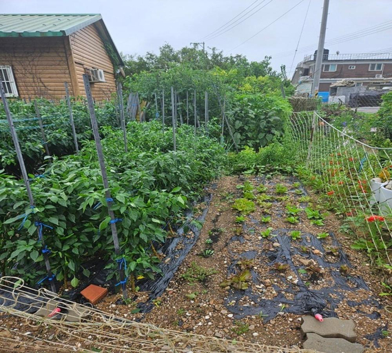 Others 4, Namyangju Pension, Hwaseong