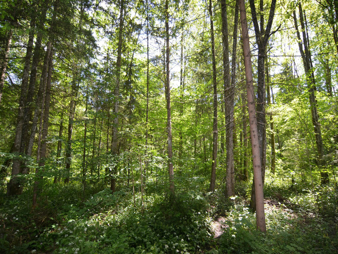 Others 3, Ferienhaus im Berchtesgadener Land, Berchtesgadener Land