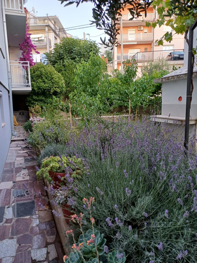 Others 4, Apartment Sano, Podstrana