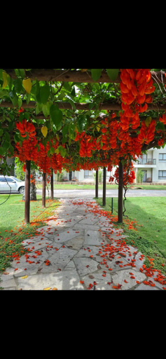 Others 3, Adriana Rinaldi Goncalves, Angra dos Reis