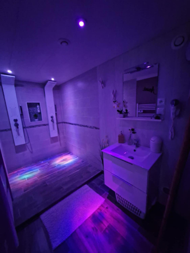 Bathroom 2, Studio avec jacuzzi , terrasse amenagee et wifi a Westrehem, Pas-de-Calais