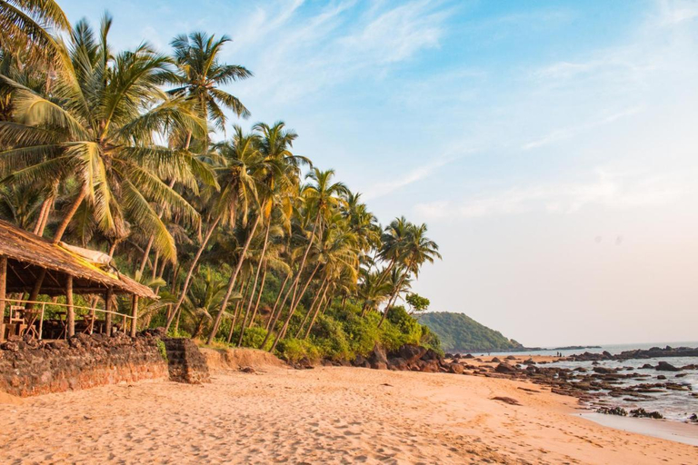 Others 4, Soneca Cola, South Goa