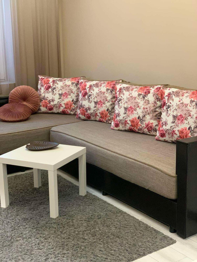 5, Harmony Centrally Located Studio, Stolichna