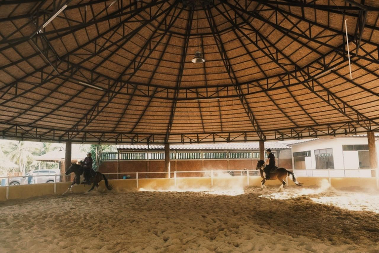 Horseback riding 2, Amphawa Horse Farm, Amphawa