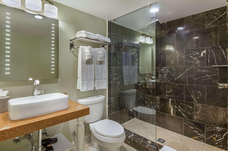 Bathroom 4, The Gin Hotel, Ascend Hotel Collection, Lexington