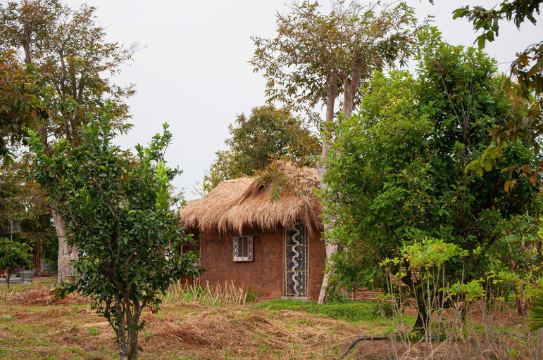 Others 2, Lang Ho Homestay - Coffee, Kon Tum