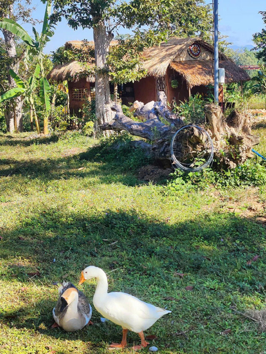 Others 1, Lang Ho Homestay - Coffee, Kon Tum