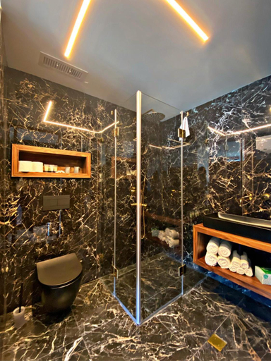 Bathroom, Golan Hotel