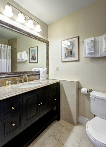Bathroom 4, Hotel St. Pierre French Quarter, Orleans