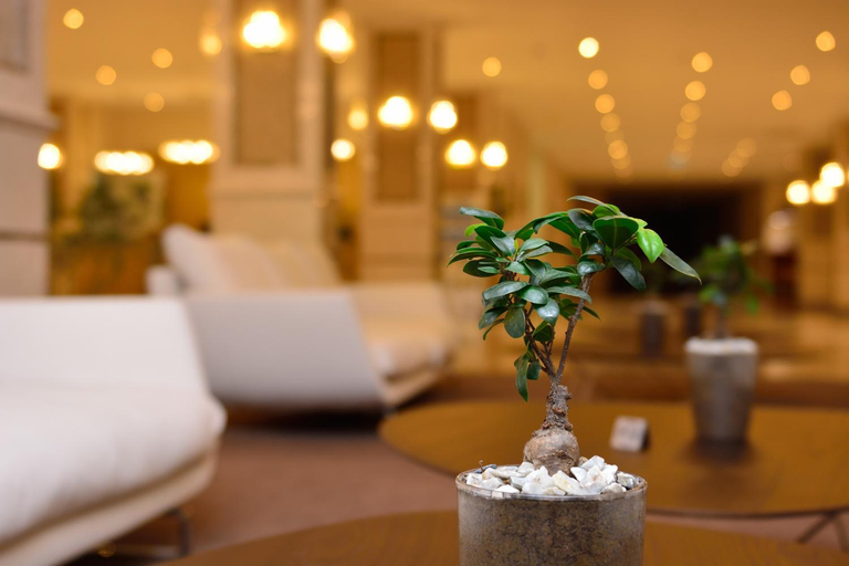 Public Area 4, The Grand Gloria Hotel, Batumi
