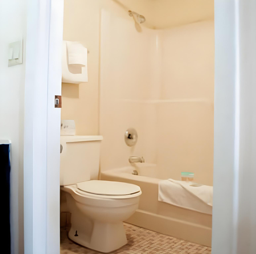 Bathroom 5, Sevilla Inn, Osceola