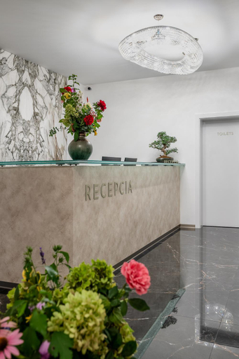 Public Area 3, Hotel ZEMPLEN, Michalovce