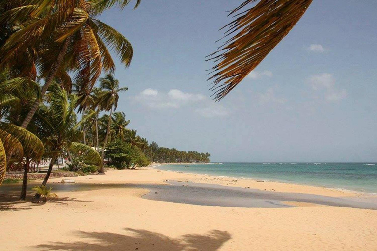 Others 5, Casa Brisa Mar Hotel, Las Terrenas
