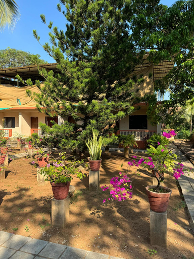 Others 5, VILLA SOL BEACH RESORT, North Goa