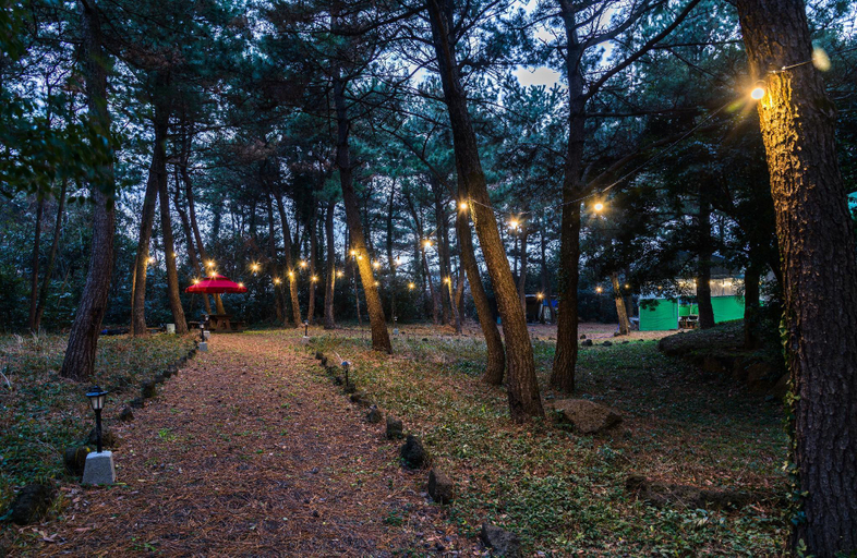 Others 4, Domgrami Pension, Seogwipo