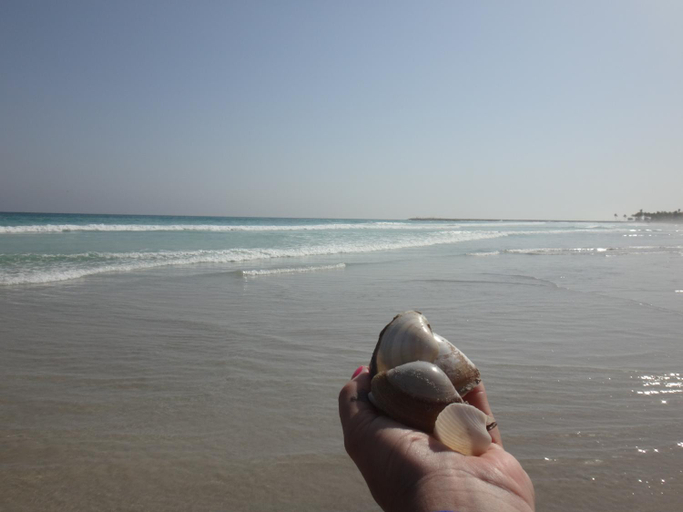 Others 5, Dream Apartment - Near Beach with Pool View & WiFi, Taqah