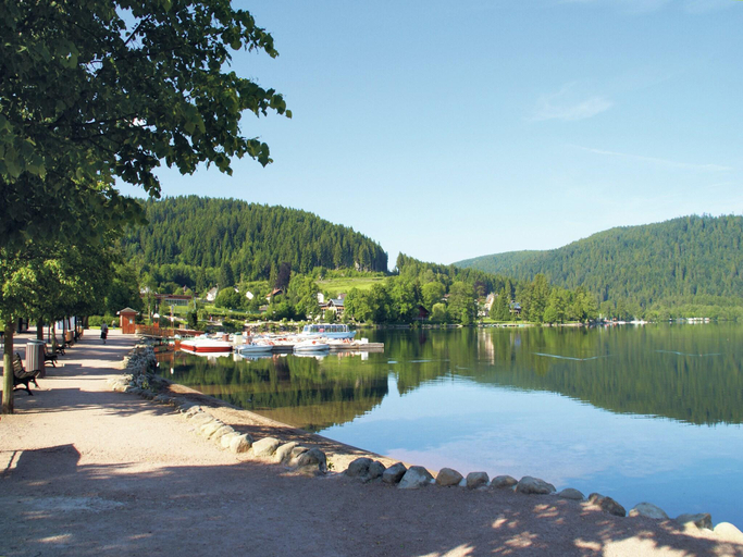Others 4, Chalet in Ventron near Ski Lift, Vosges