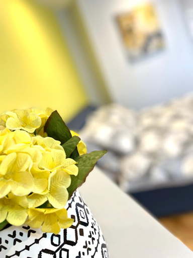 Food & Drinks 4, Albion Boutique Guest House, Sunderland
