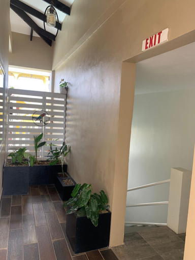 Others 5, Louis' Apartments