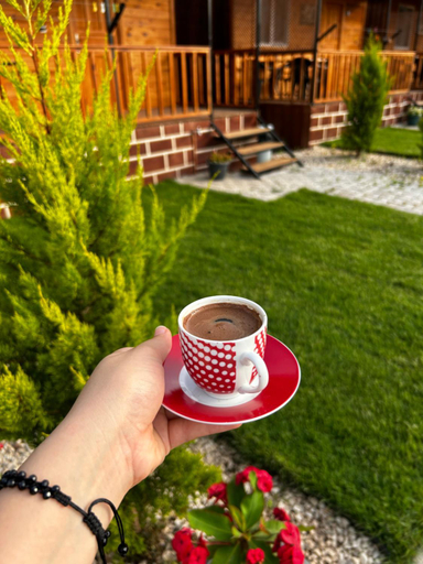 Food & Drinks, Adrasan yesim apart evleri, Kumluca