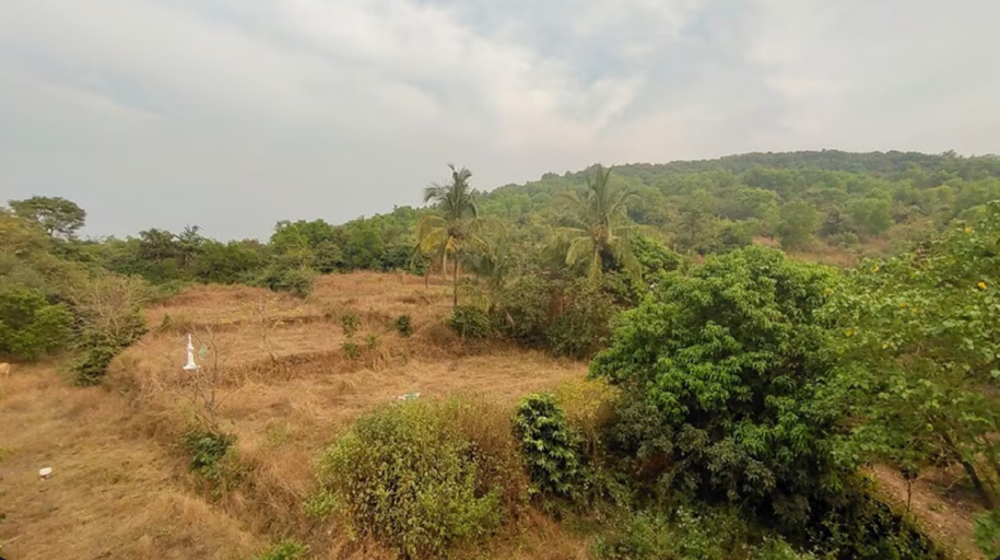 Others 3, Avana, North Goa