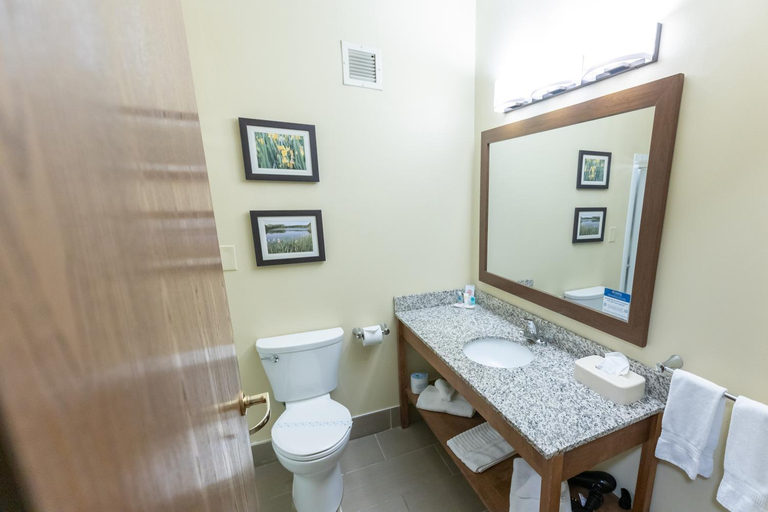 Bathroom 4, Comfort Inn & Suites Streetsboro - Kent, Portage