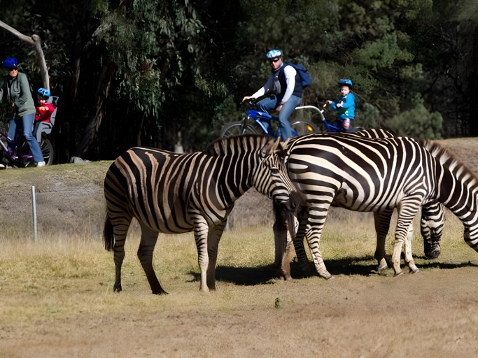 Others 3, Taronga Western Plains Zoo - Zoofari Lodge, Dubbo - Pt A