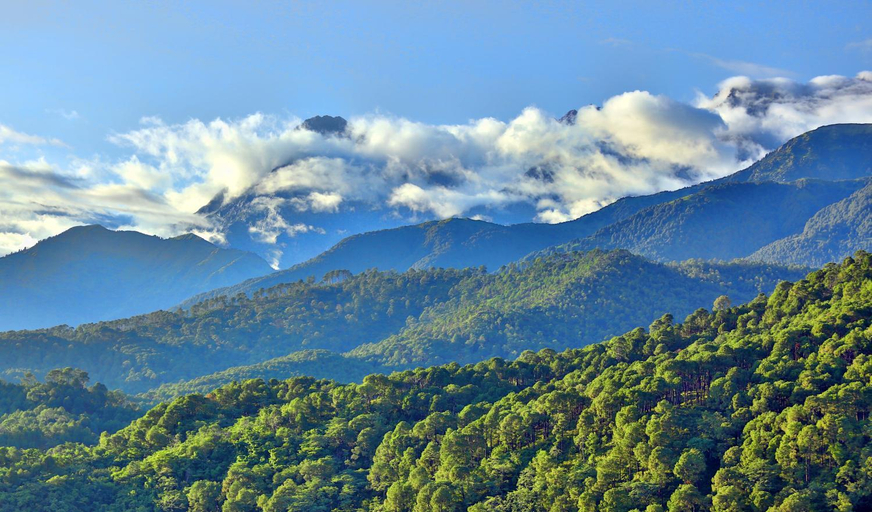 Others 5, Chimbalhar Heights, Kangra
