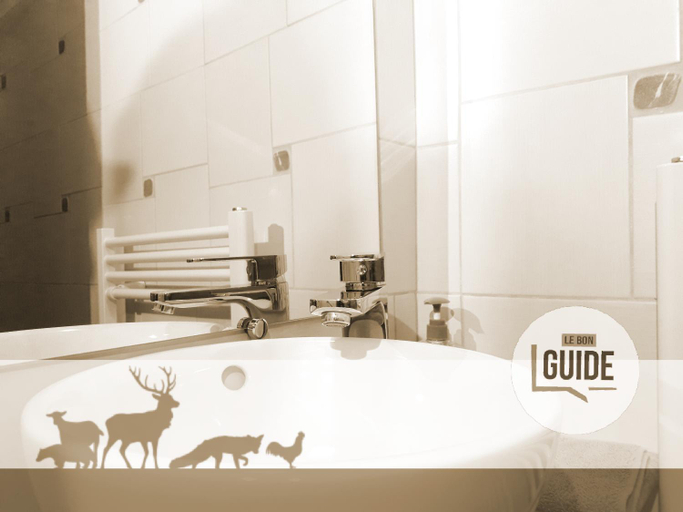 Bathroom, Odyssee-Auvergne, Allier