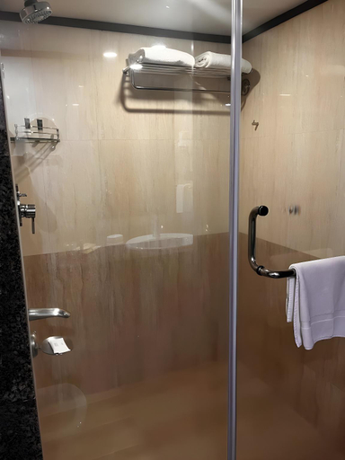 Bathroom 5, The Ocean Pearl, Dakshina Kannada