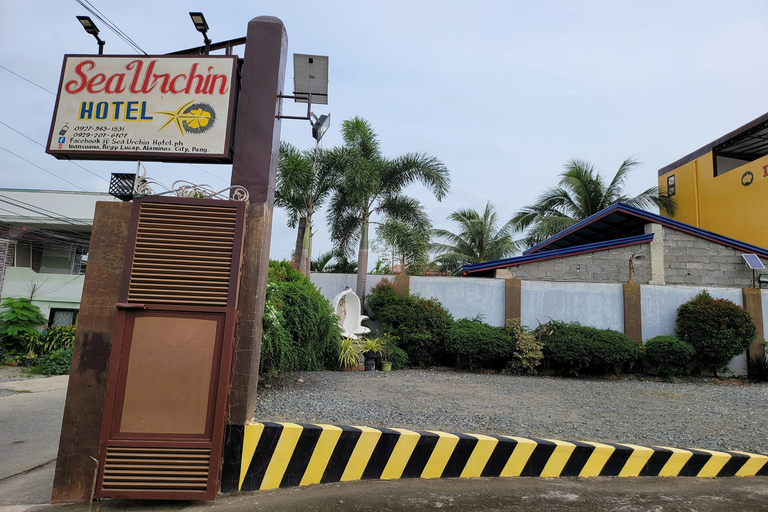 Exterior & Views 3, Sea Urchin Hotel, Alaminos City