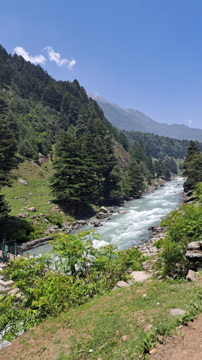 Others 5, Srinagar hotels and houseboats, Srinagar